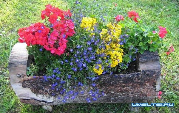 Цветники на даче: идеи высадки цветов