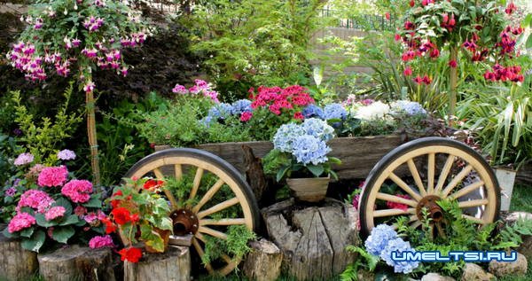 Идеи высадки цветов в саду