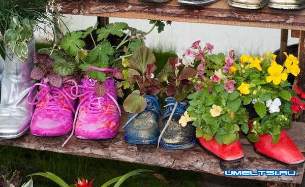 Идеи высадки цветов в саду