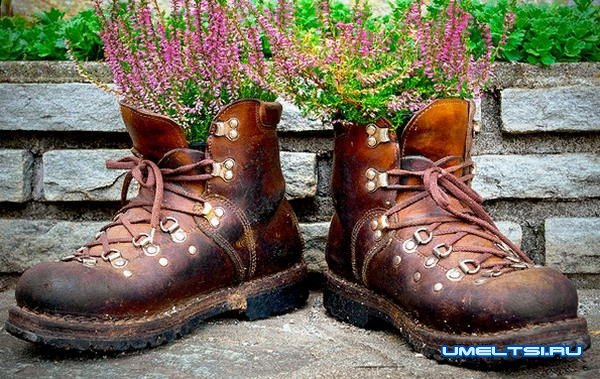 Идеи высадки цветов в саду