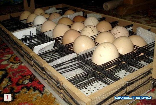 Инкубатор с автоматическим переворотом Инкубатор с автоматическим переворотом