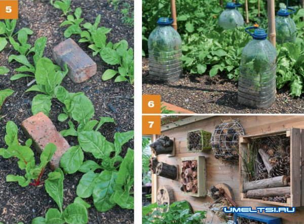 Огородные  лайфхаки