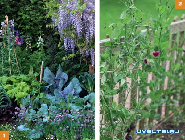 Огородные  лайфхаки