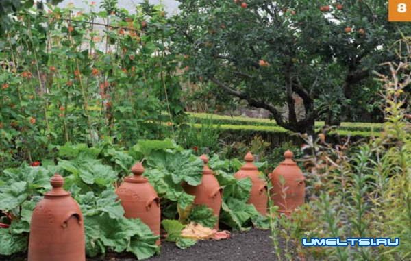 Огородные  лайфхаки