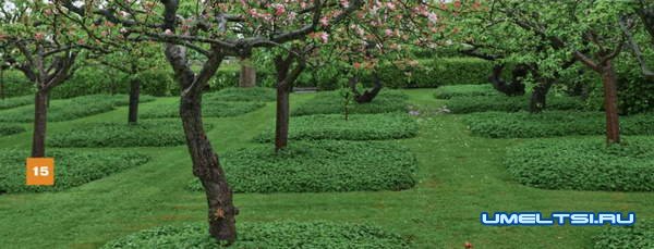 Огородные  лайфхаки