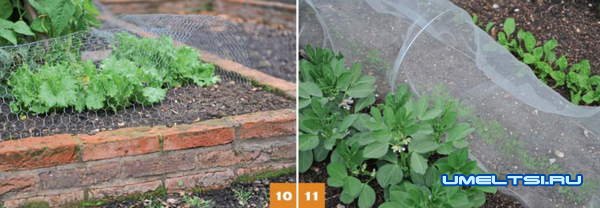 Огородные  лайфхаки