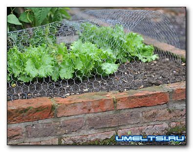 Огородные  лайфхаки