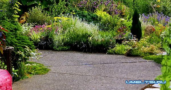 Из чего лучше сделать садовые дорожки