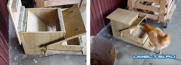 Автоматическая кормушка для кур