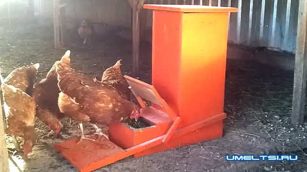 кормушки для кур