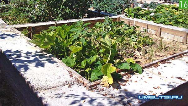 Как построить дом на одну пенсию