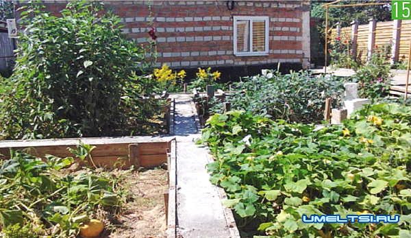 Как построить дом на одну пенсию