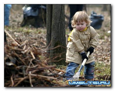 Новый взгляд на уборку на даче