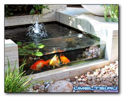 Как сделать садовый аквариум Как сделать садовый аквариум