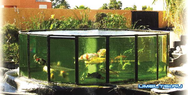 Как сделать садовый аквариум Как сделать садовый аквариум
