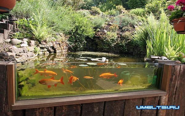 Как сделать садовый аквариум Как сделать садовый аквариум