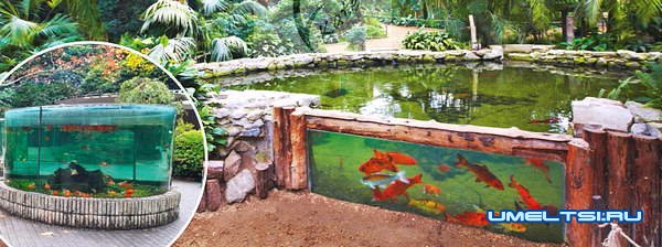 Как сделать садовый аквариум Как сделать садовый аквариум