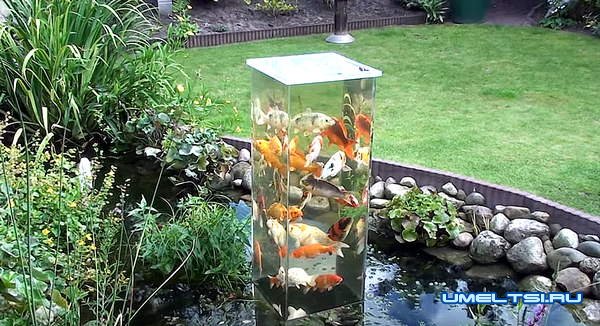 Как сделать садовый аквариум Как сделать садовый аквариум