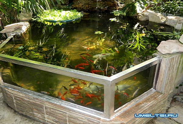 Как сделать садовый аквариум Как сделать садовый аквариум