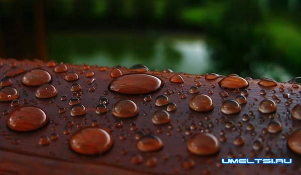 Составы для пропитки древесины Составы для пропитки древесины