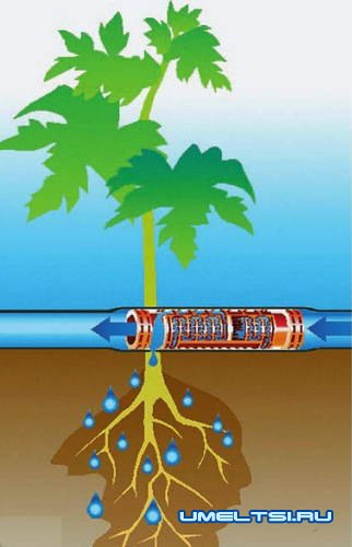 системы автоматического полива системы автоматического полива