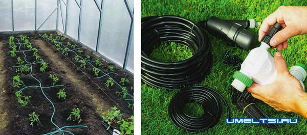 системы автоматического полива системы автоматического полива