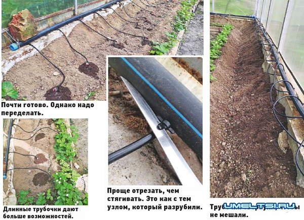 Модернизация капельного полива в теплице