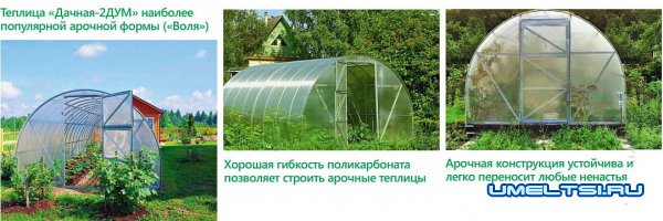 Теплицы из поликарбоната: преимущества и недостатки