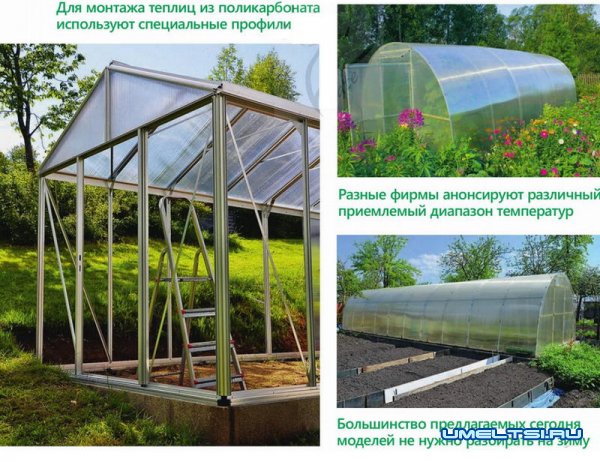 Теплицы из поликарбоната: преимущества и недостатки