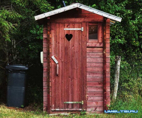Разновидности конструкций дачных туалетов