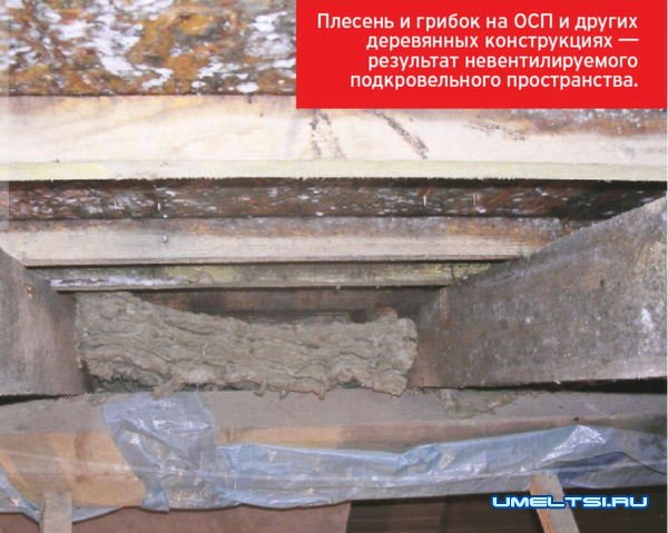 Вентиляция подкровельного пространства Вентиляция подкровельного пространства