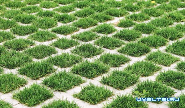 Парковка для автомобиля