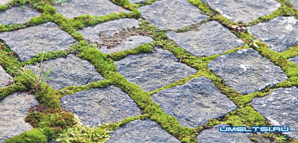 Парковка для автомобиля