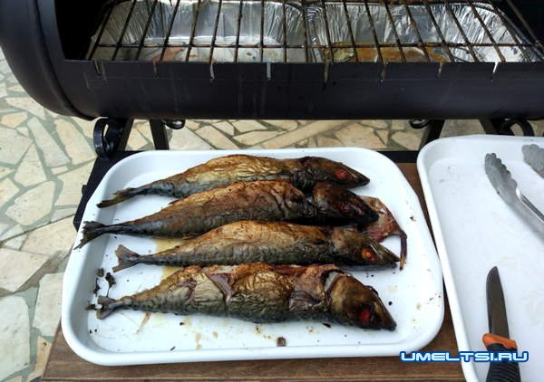 мангал — коптильня из газовых баллонов мангал — коптильня из газовых баллонов