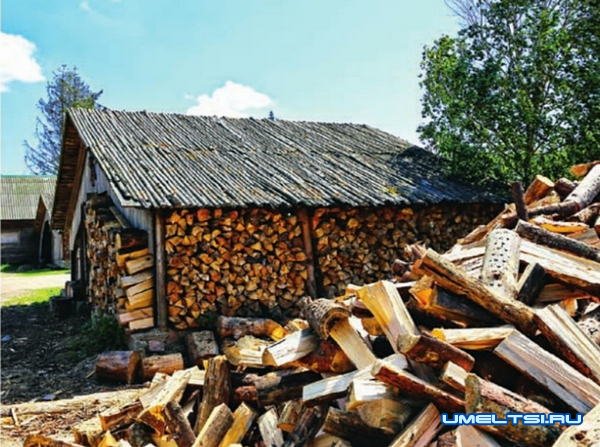 Строим дровяник