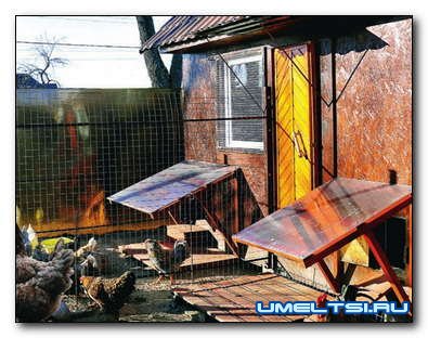 Строим капитальный, утепленный курятник Строим капитальный, утепленный курятник