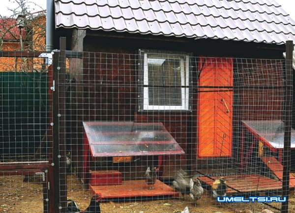 Строим капитальный, утепленный курятник Строим капитальный, утепленный курятник