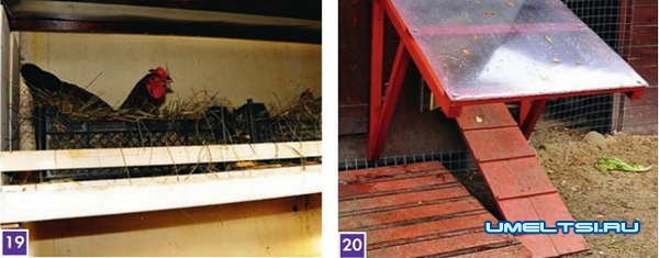 Строим капитальный, утепленный курятник Строим капитальный, утепленный курятник