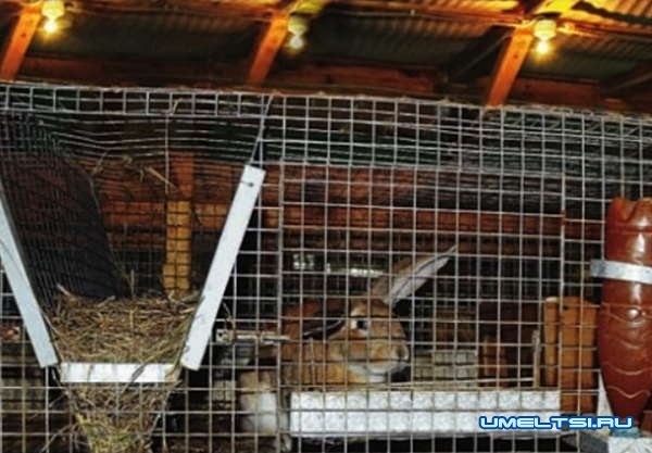 Рассчитываем параметры построек для живности Рассчитываем параметры построек для живности