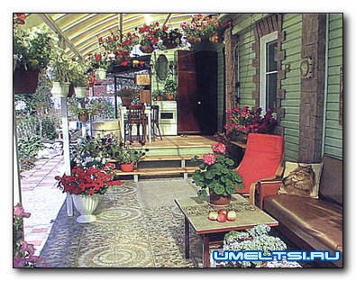 просторная терраса с изогнутой крышей