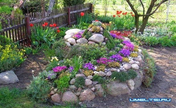 альпийские горки своими руками