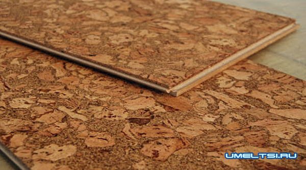 Пробковый пол: особенности, технология укладки пробкового пола Пробковый пол: особенности, технология укладки пробкового пола