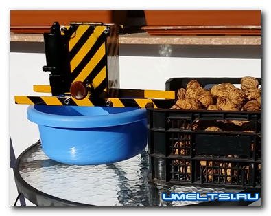 Орехокол из хлама для грецких орехов Орехокол из хлама для грецких орехов