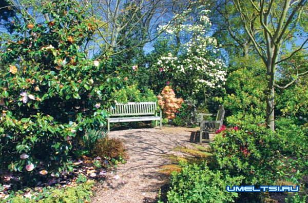 Садовые скамейки Садовые скамейки