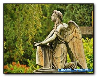 Открытие новой ритуальной службы в Беларуси Открытие новой ритуальной службы в Беларуси