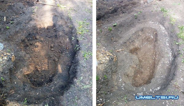 Декоративный пруд