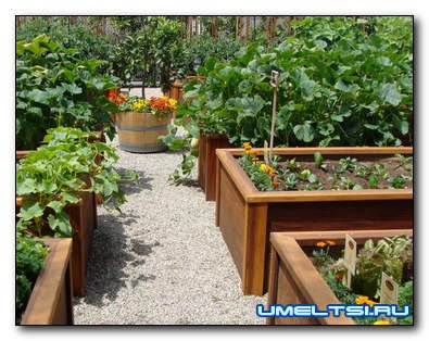 высокие грядки на участке высокие грядки на участке