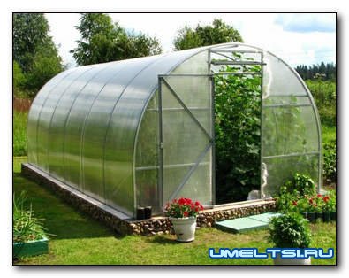 Какой поликарбонат лучше для теплицы Какой поликарбонат лучше для теплицы