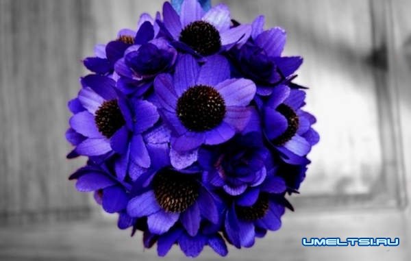 Как сделать розу из дерева