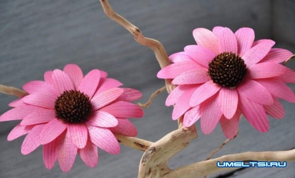 Как сделать розу из дерева